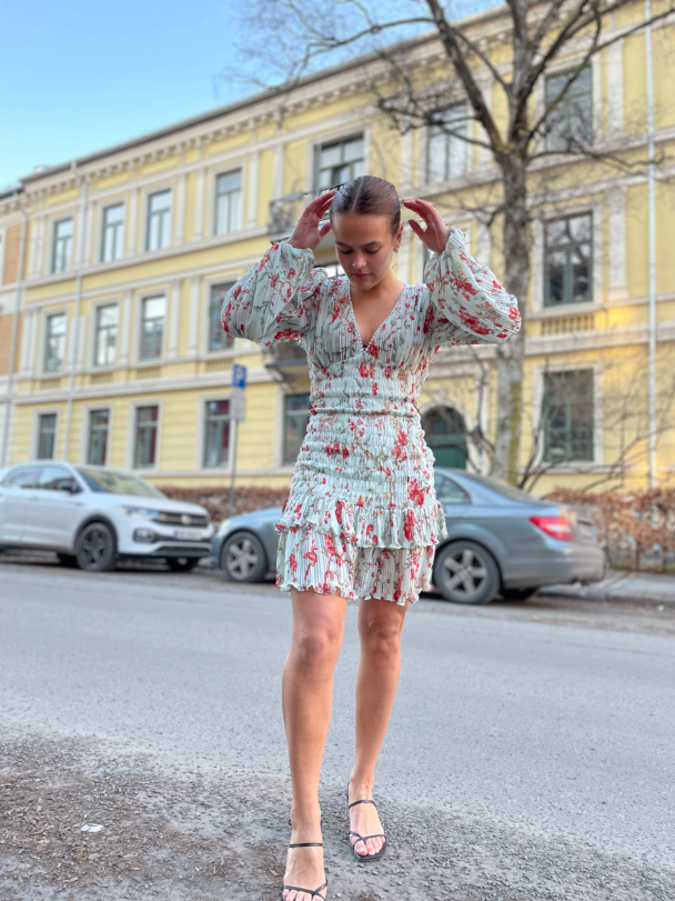 Plisse Smocking Dress - Rose Garden  - Image 5
