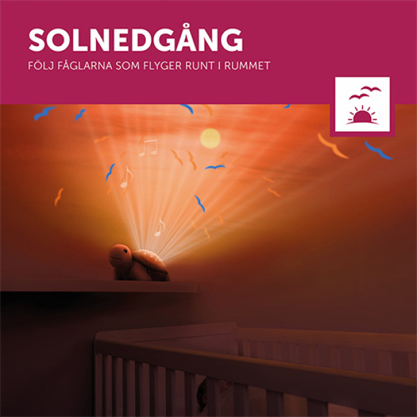 Skilpadden Tim Projector - Image 4