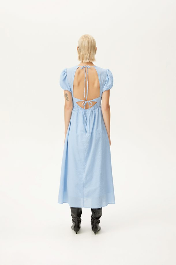 Lizzia Midi Dress - Frozen Fjord  - Image 4