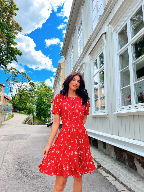 Anine dress - Vintage Red - Image 3
