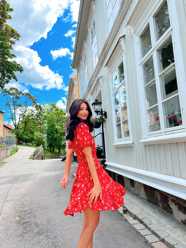 Anine dress - Vintage Red - Image 4