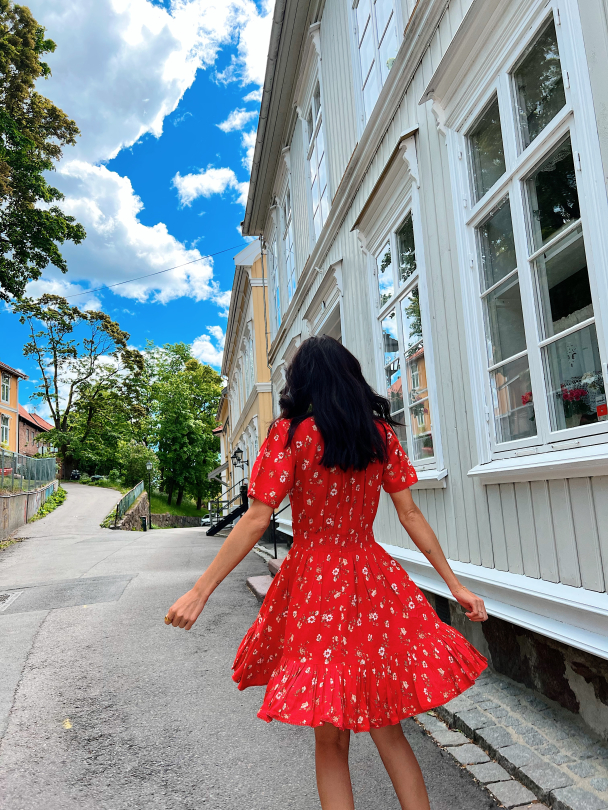 Anine dress - Vintage Red - Image 5