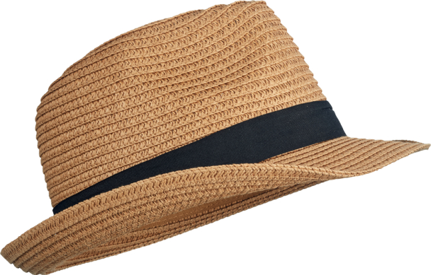 Doro Feodora Hat - Brown/Black Mix - Image 2