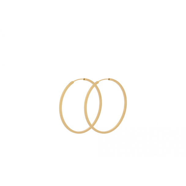 Small Orbit Hoops - Gold  - Image 1