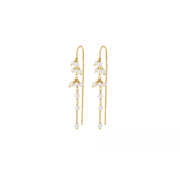 Ocean Treasure Earchains - Gold  - Image 1