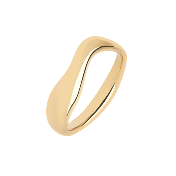 VAYU RING - Image 1