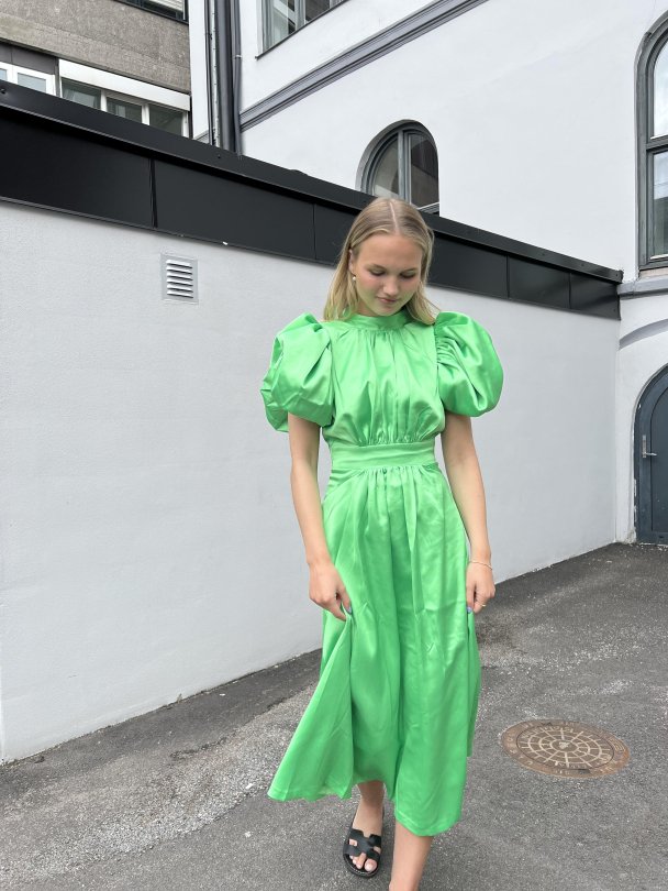 Noon Dress - Spring Bouquet Green  - Image 4