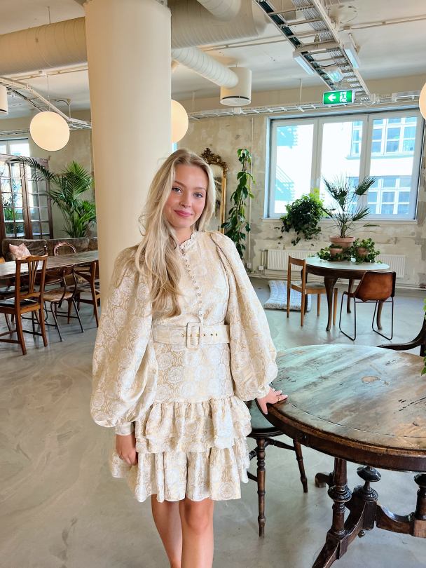 Brocade Belted Dress - Vintage  - Image 3