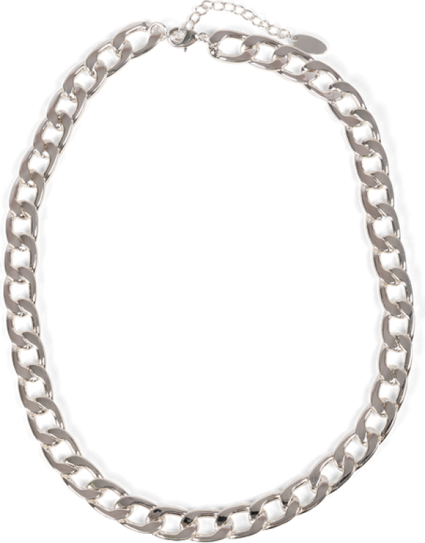 ORELIA Chunky Chain Necklace