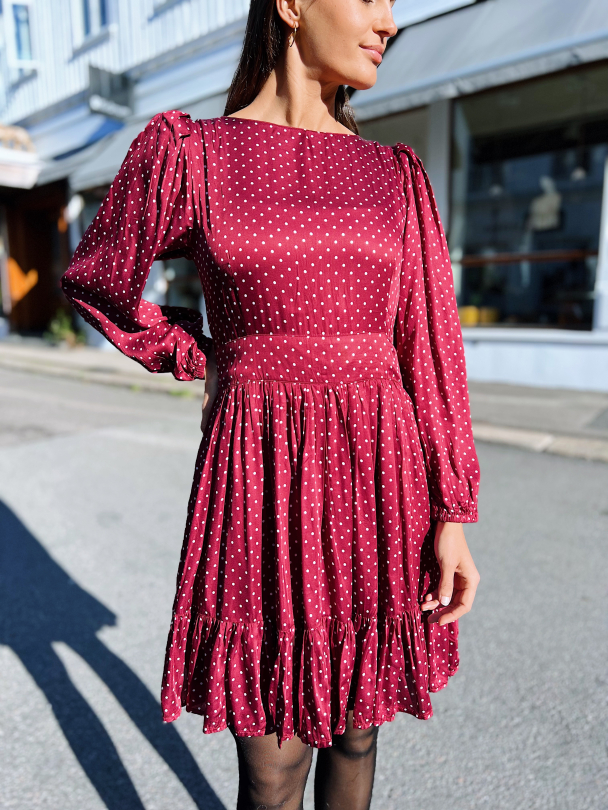 Rosie Dress - Merlot - Image 1