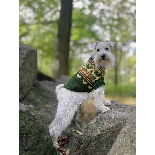 Hundegenser - Grønn XS