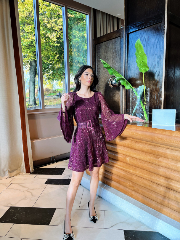 Sequins Mini Dress - Plum  - Image 2