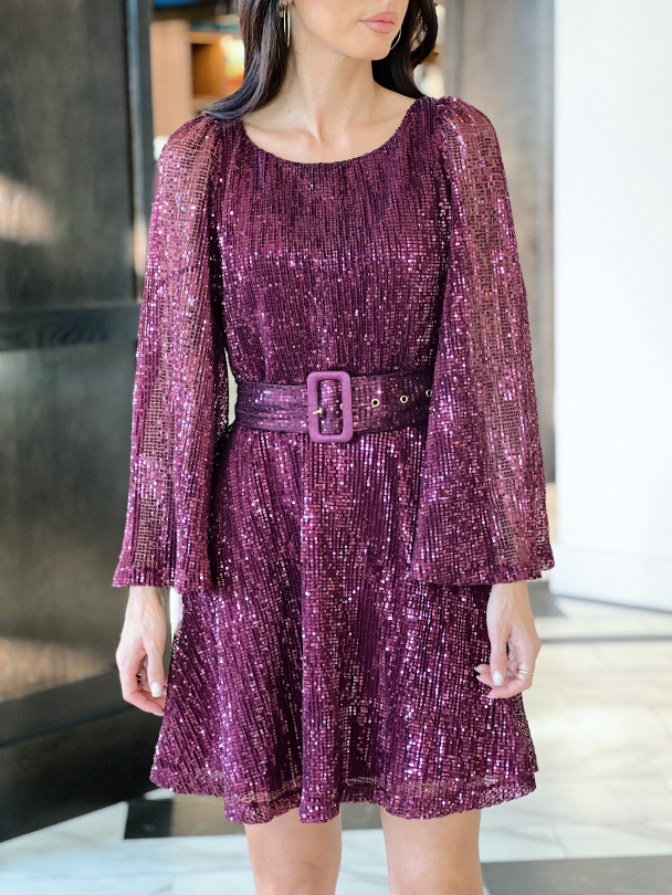 Sequins Mini Dress - Plum  - Image 1