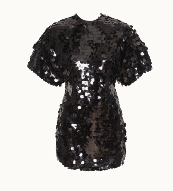Jasyyy Sequins Mini Dress  - Image 2