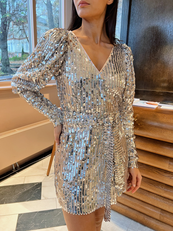 Bridget Sequin Wrap Dress - Image 1