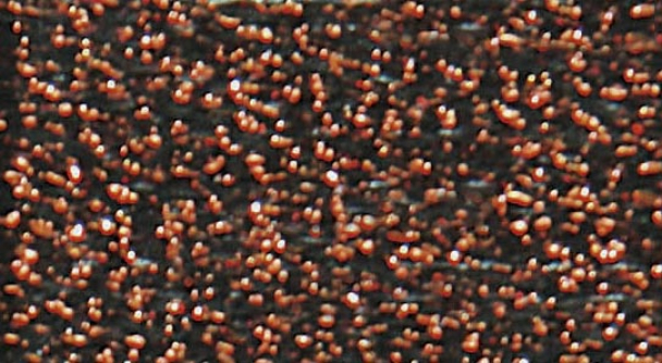 Madeira Lamé - Image 10