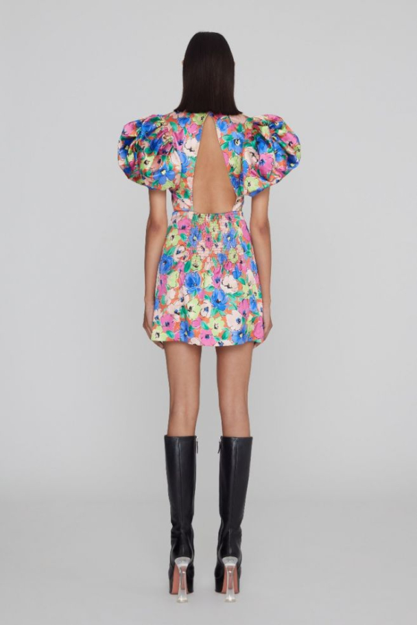 Silky Puff - Sleeve Dress - Necatrine Comb - Image 5