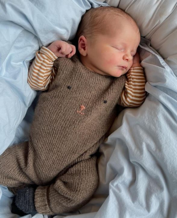 PetiteKnit  - Barn - Image 26