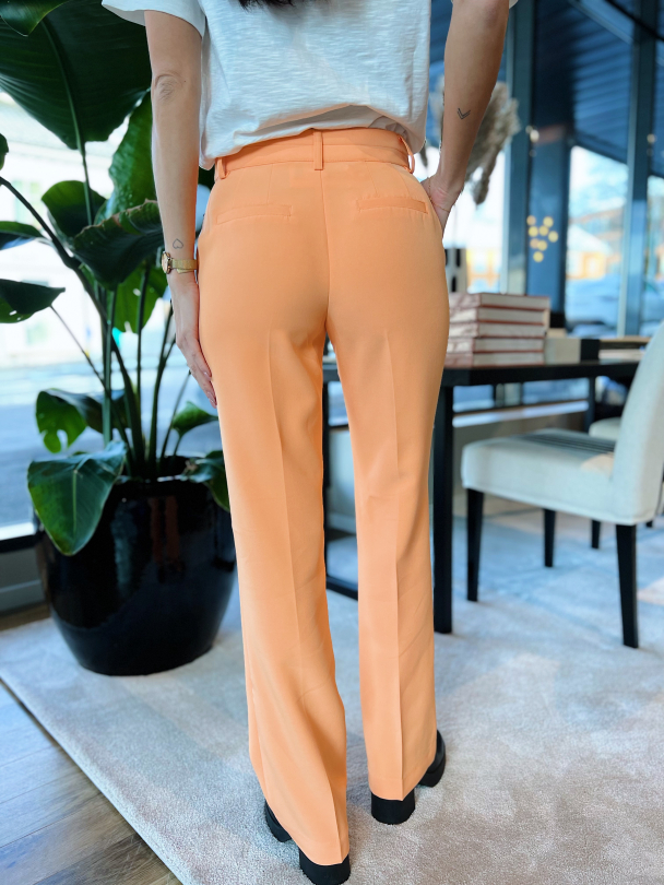 Bluris Flared Pant - Mock Orange  - Image 7