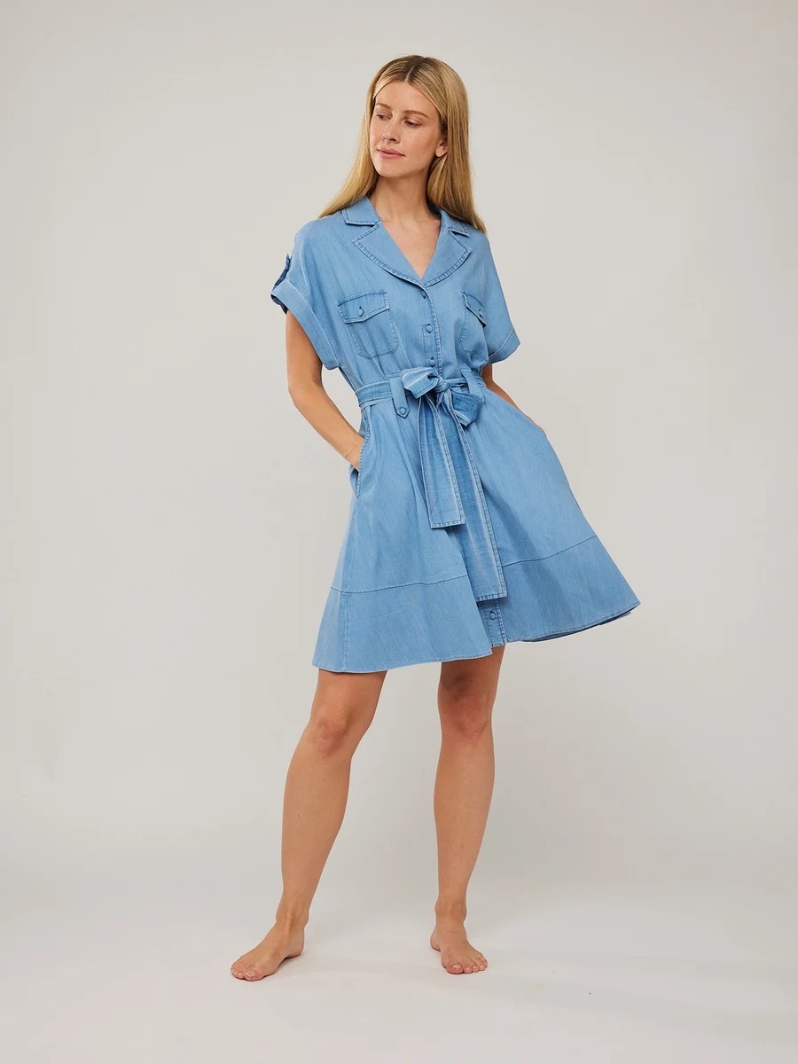 addison denim dress Addison Denim Dress