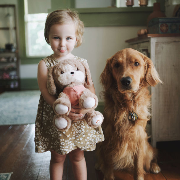Olli Ella | Dinkum Dogs - Honey - Image 10