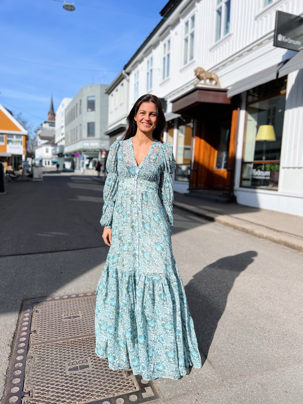 Georgette Maxi Dress - Blue Birds  - Image 3