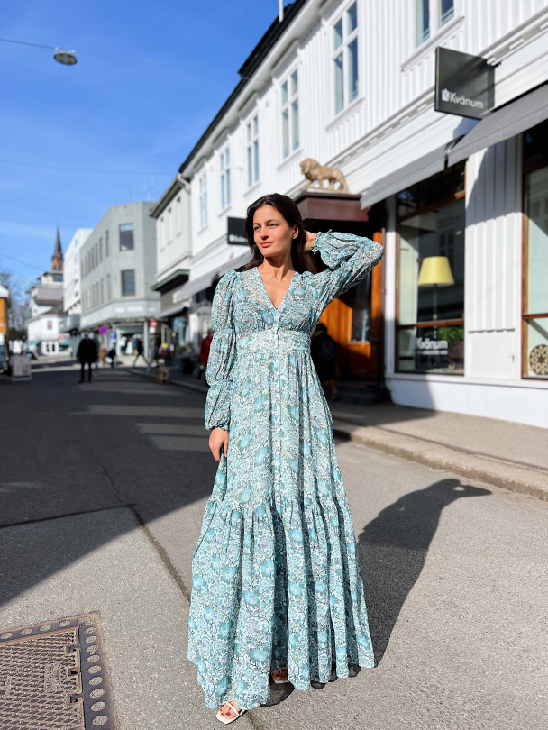 Georgette Maxi Dress - Blue Birds  - Image 4