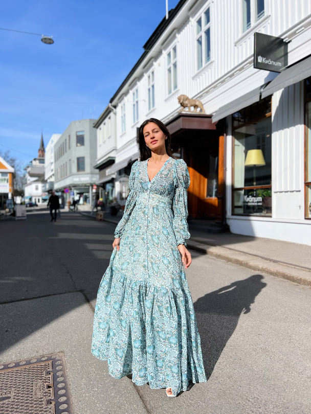 Georgette Maxi Dress - Blue Birds  - Image 5