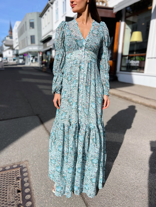 Georgette Maxi Dress - Blue Birds  - Image 1