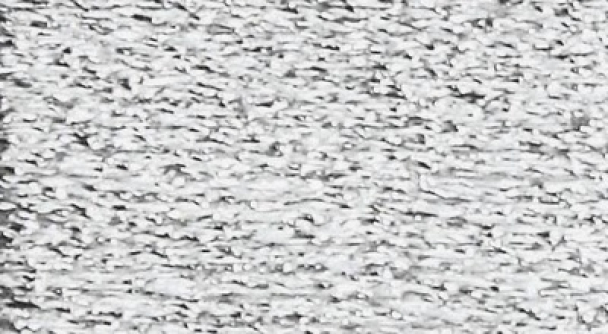 Madeira Lamé - Image 15