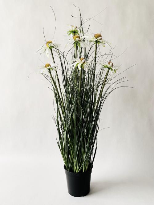 Strå med hvite blomster