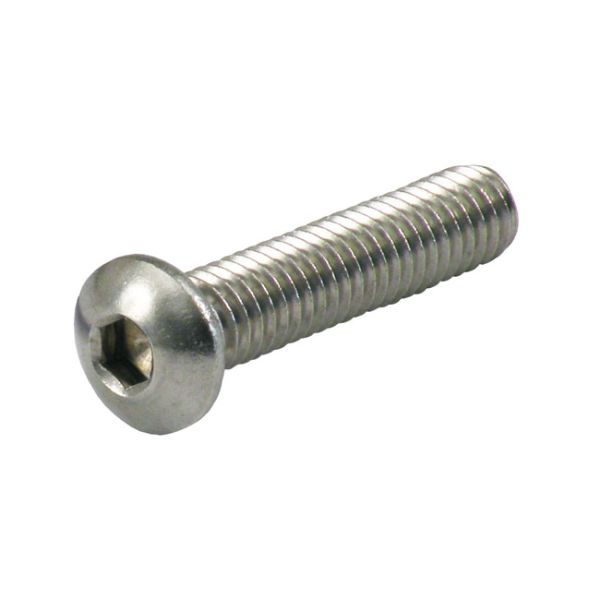 1/4-20 X 3/4 INCH BUTTONHEAD BOLT SS