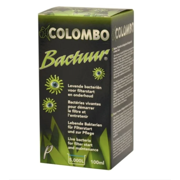 Fysetørkede filterbakterier Bactuur P Colombo