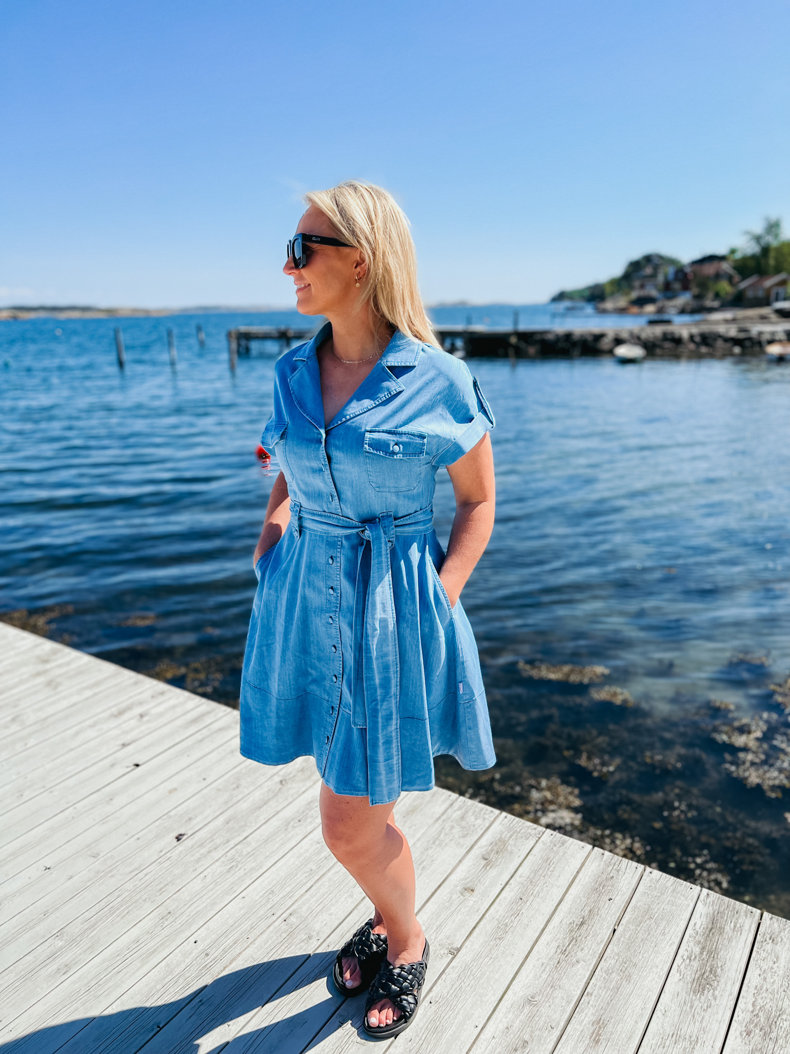 addison denim dress Addison Denim Dress