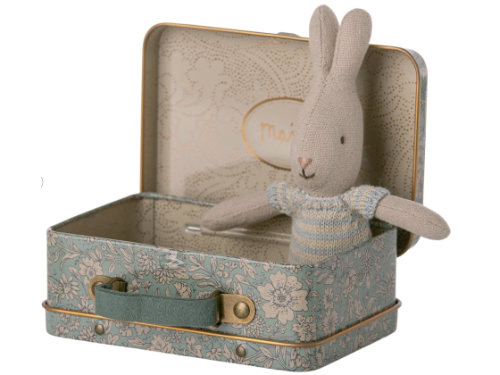 Koffert med mikro kanin