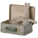 Koffert med mikro kanin