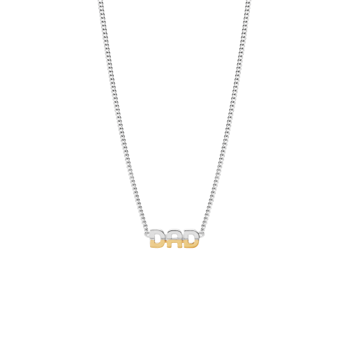 DAD TWO-TONE 43 NECKLACE