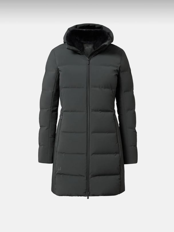 Enigma Olive - Image 1
