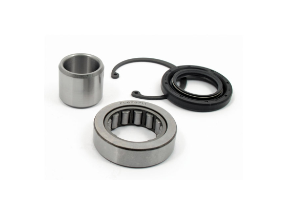 INNER PRIMARY BEARING & SEAL KIT