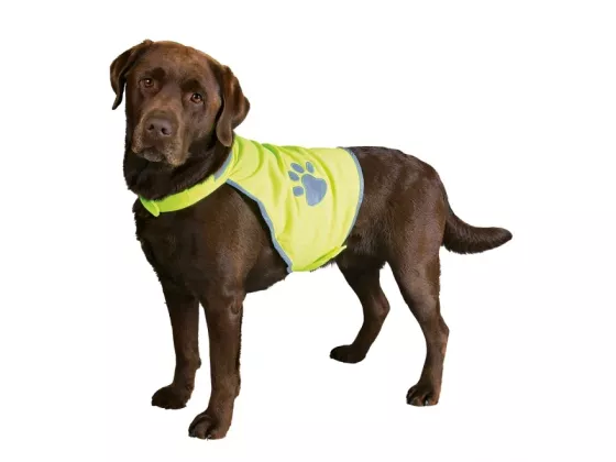 Refleksvest, S