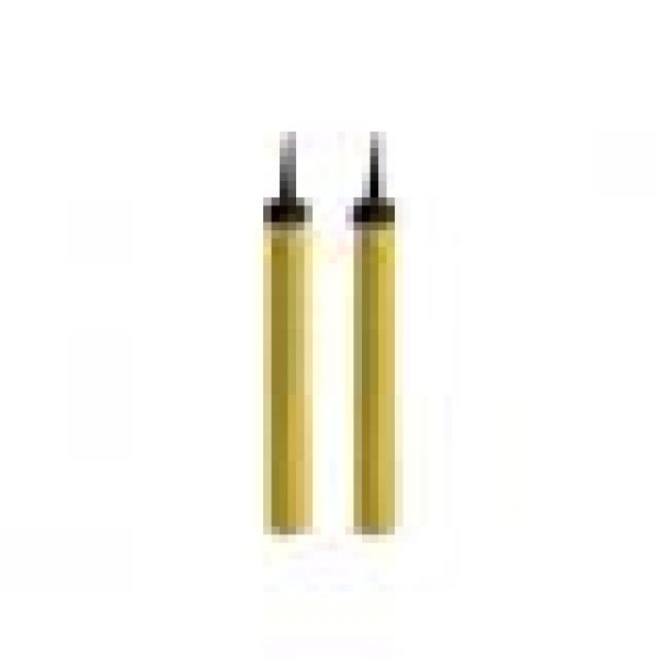 Isfontene holographic gull