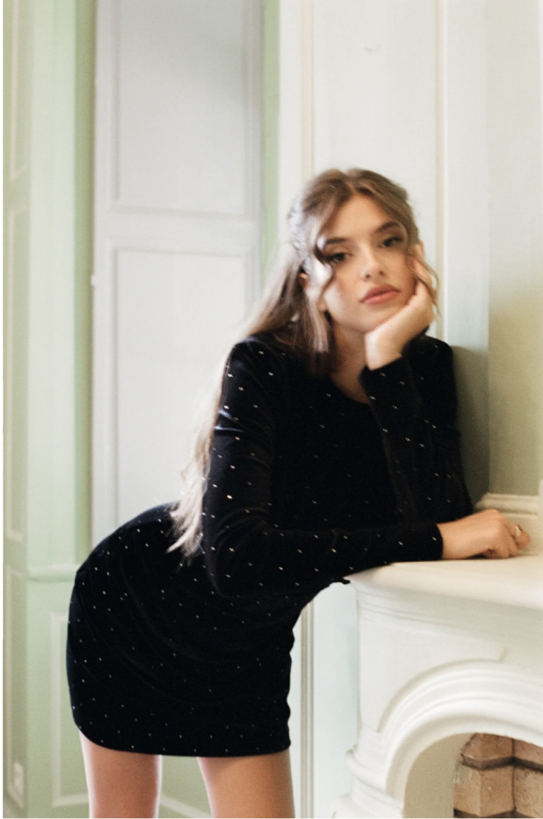 Clio Dress - Diamond Velvet - Image 6