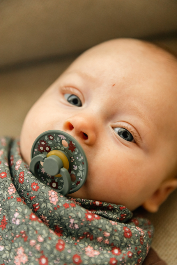 Colour 2-pk Liberty - Chamomile Lawn Pine Mix - Image 3