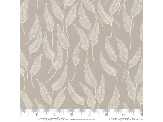 Flower press grey leaves 1 meter