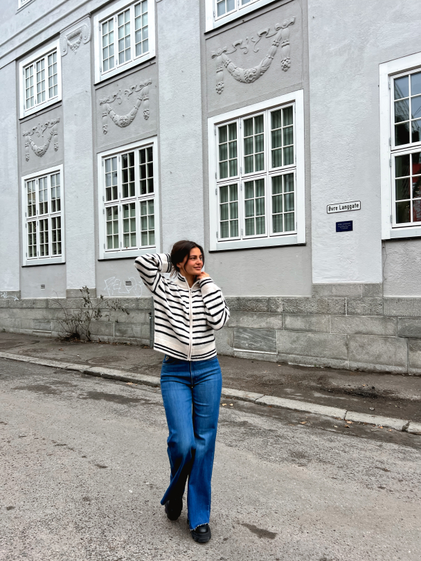 Sia Ras Stripe Knit Cardigan - Brich/Dark Sapphire  - Image 4