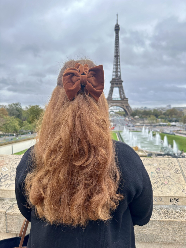 NOMA Exclusive Hårklype  - Image 2