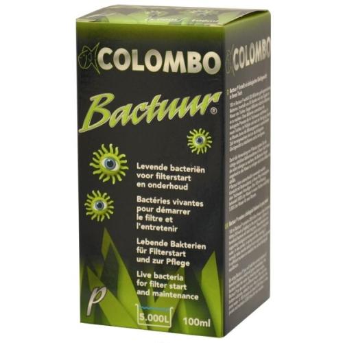 Frysetørkede bakterier Bactuur P Colombo