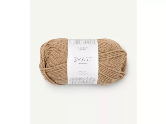 SMART camel 2542