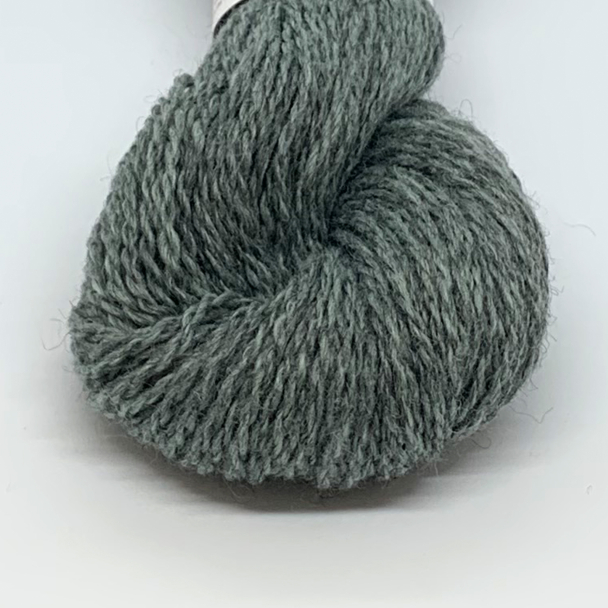 Blåne støvet ismint 2140