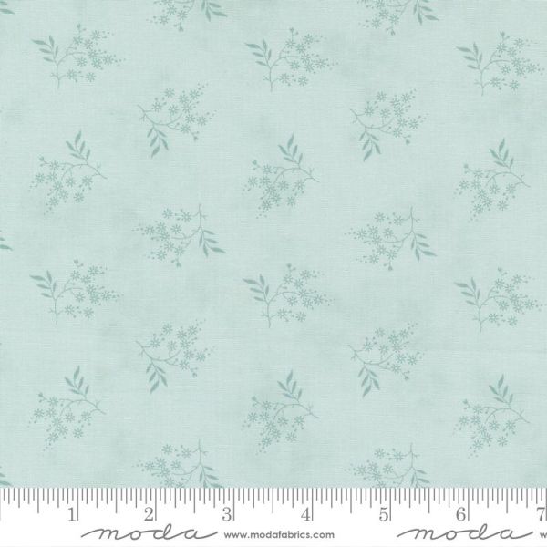 Honeybloom aqua 75 cm